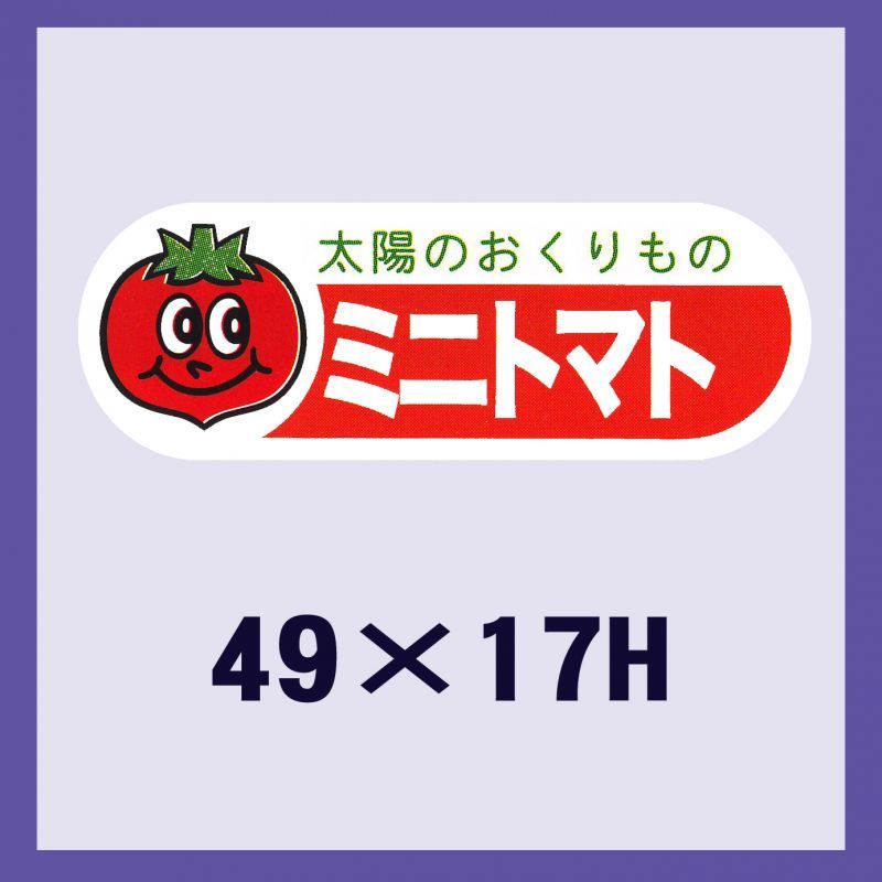 販促判子「ミニ赤ナス」49×17粍 「1冊500枚」