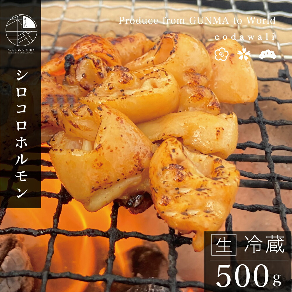 楽天市場 豚 ホルモン 500g シロコロホルモン 焼肉 国産豚 生 冷蔵便 新鮮 豚 ホルモン焼き肉 バーベキュー コンロ 七厘 人気 おすすめ 24fragrance