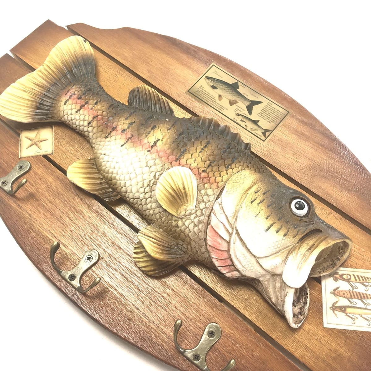 楽天市場】BlackBass ブラックバス レプリカ ラージマウスバス剥製風