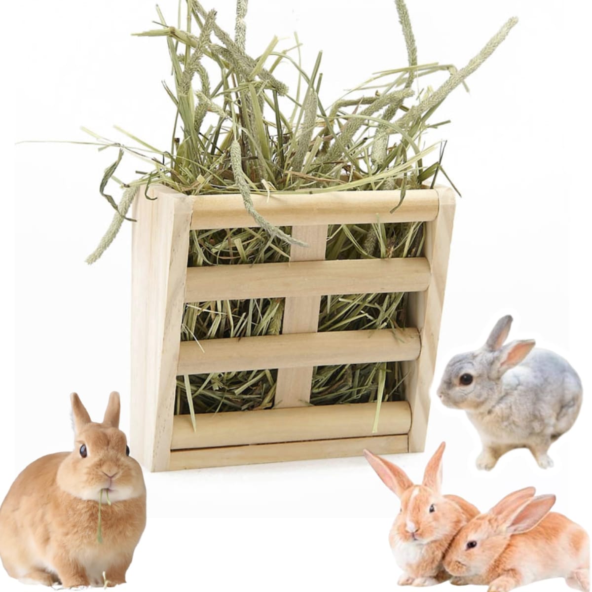 楽天市場】【楽天ランキング1位入賞】うさぎ 牧草入れ チモシーラック