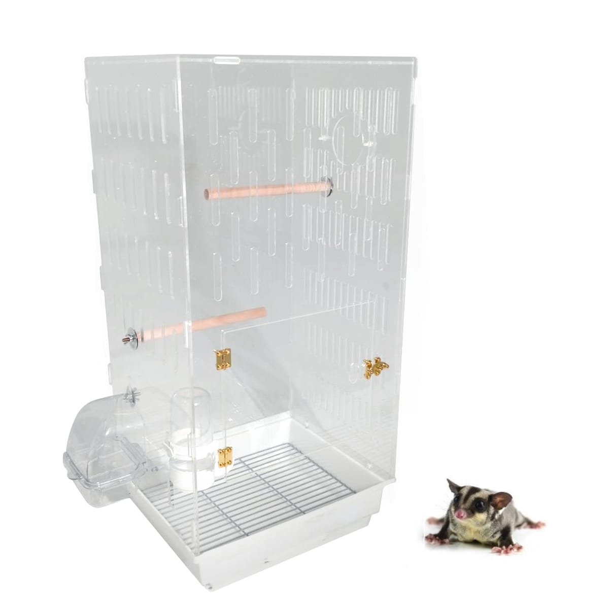 MINORITY DESIGN フクロモモンガ 360度見渡せるアクリルルーム 大 アクリル ケージ 小動物専用 鳥かご 68cm