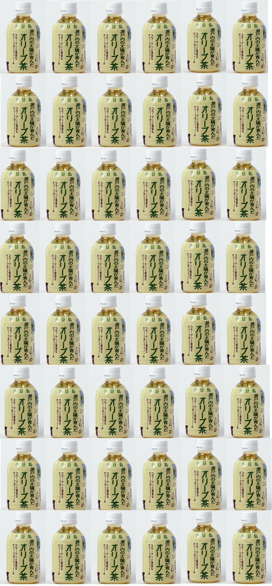 「お得な48本書き割り」小豆島産 有機作りだす・無農薬オリーーブ茶48本書き割り