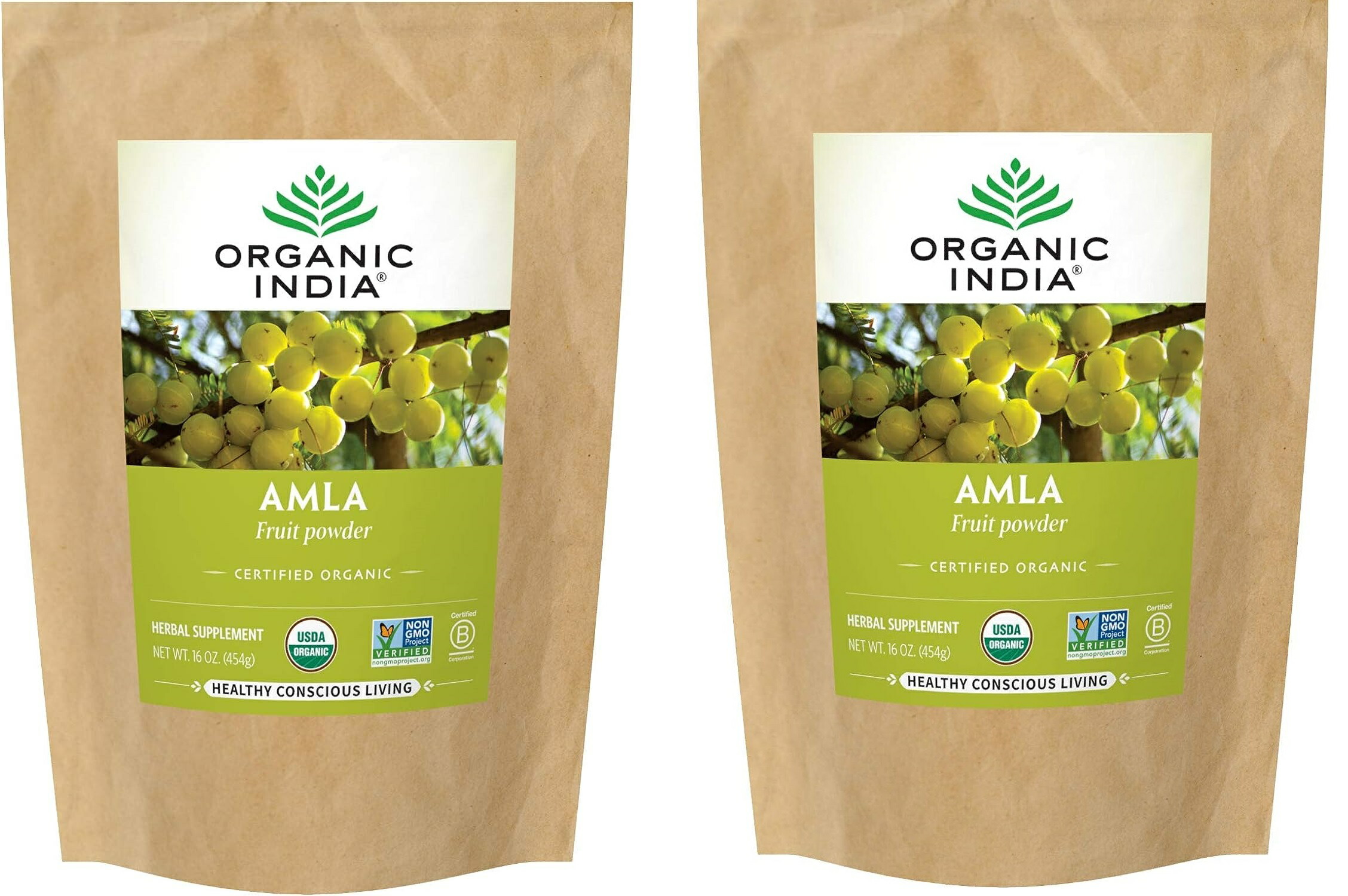大容量454g ×2袋「お得な2袋セット」Organic India 社 天然 オーガニック アムラ 粉末 454g ×2袋フルーツパウダーアムラ アムラ 果実 アーマラキー Amla アムラ アンマロク アムラ パウダー アムラ