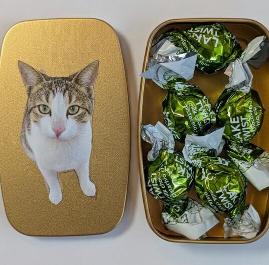 楽天市場】ドバイ発 Camelicious キャメルミルクパウダー ラクダの