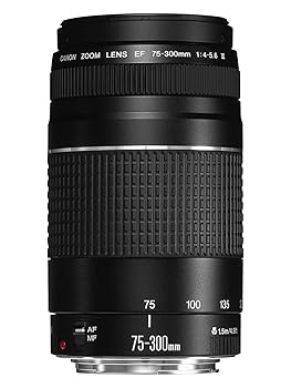 【中古】Canon EF水晶体 EF75-300粍 F4-5.6 III望遠レンズ 望遠 並行輸入品 黒