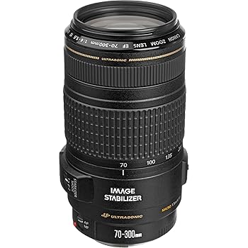 【中古】Canon EF水晶体 EF70-300粍 F4-5.6 IS USM 望遠レンズ 望遠 再生品並行輸入品
