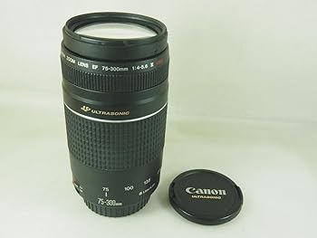 【中古】Canon AFレンズ EF 75-300mm F4-5.6 III USM
