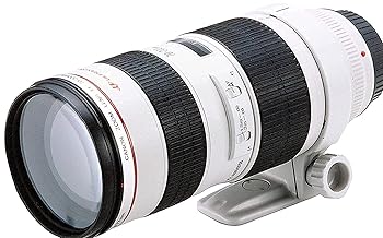 【中古】【39shop】Canon★望遠ズームレンズ EF70-200mm F2.8L USM フルサイズ対応(良い)|ドリエム店