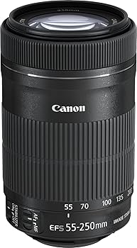 【中古】Canon キヤノン 望遠ズームレンズ EF-S55-250mm F4-5.6 IS STM APS-C対応 EF-S55-250ISSTM