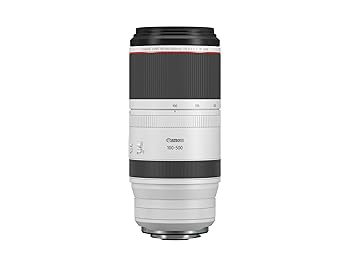 【中古】Canon 望遠水晶体 RF100-500粍 F4.5-7.1 L IS USM フルサイズ相応う RF100-500LIS