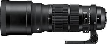 【中古】SIGMA 120-300mm F2.8 DG OS HSM | Sports S013 | Canon EFマウント | Full-Size/Large-Format