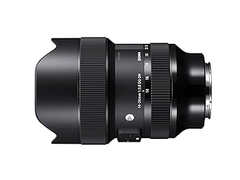 【中古】シグマSigma SIGMA シグマ Sony Eマウント 水晶体 14-24粍 F2.8 DG DN 望遠レンズ 広角 フルサイズ Art銀鏡受け答え専用