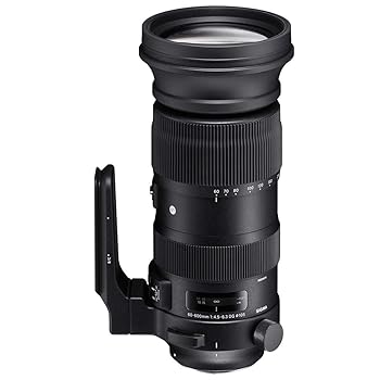 【中古】Sports 60-600粍 F4.5-6.3 DG os HSM SAマウント