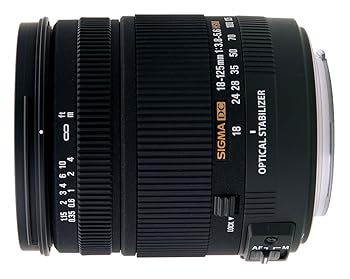 【中古】【39shop】シグマ★18-125mm F3.8-5.6 DC HSM ソニー用（非常に良い）｜ドリエム店
