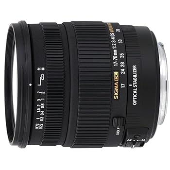 【中古】シグマ 17-70mm F2.8-4 DC MACRO OS HSM シグマ用 102,016円