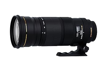 【中古】シグマ APO 120-300粍 F2.8 EX DG os HSM NA ニコン用