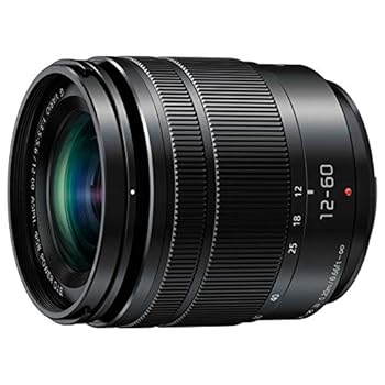 【中古】パナソニックPanasonic 判定基準望遠レンズ マイクロフォーサーズ用 ルミックス G VARIO 12-60粍/F3.5-5.6 ASPH./POWER O.I.S H-FS12060
