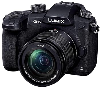【中古】【39shop】パナソニックPanasonic★ミラーレス一眼カメラ ルミックス GH5 レンズキット 標準ズームレンズ ブラック DC-GH5M-K(非常に良い)|ドリエム店