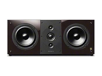【中古】ソニー SONY 金棒引き SS-NA8ESpe 単品