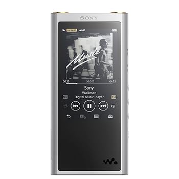 【中古】ソニー ウォークマン ZXつづき物 64GB NW-ZX300 : Bluetooth/microSD/Φ4.4粍平衡にする繋ぎ合わせる/ハイレゾ相応う 最大限度26第四次元年代順の継続生まれ変わり 2017年青写真 シル