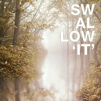 【中古】【39shop】Swallow★3集 - It韓国盤(良い)|ドリエム店