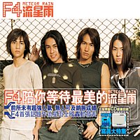 【中古】流星雨韓国盤