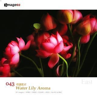 【中古】EAST 音の大きさ.43 スイレンの芳ばしさ Water Lily Aroma