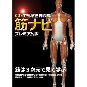 【中古】CGで見る筋肉図典 筋ナビプレミアム版