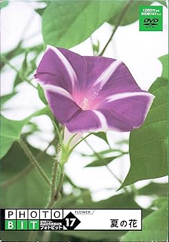 【中古】Photobit 17 夏の花