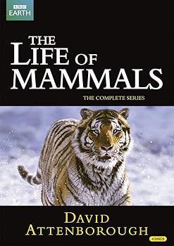 【中古】BBC The Life of Mammals -哺乳類の世界- DVD-BOX 10エピソード, 498分 BBC EARTH ライフシリーズ DVD Import PAL, 再生環境をご確認ください