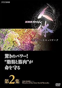 【中古】【39shop】NHKスペシャル★人体 神秘の巨大ネットワーク 第2集 驚きのパワー! 脂肪と筋肉が命を守る DVD（非常に良い）｜ドリエム店