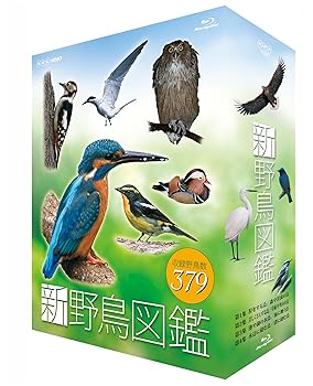 【中古】【39shop】新★野鳥図鑑 ブルーレイBOX 全4枚セットNHKスクエア限定商品(良い)|ドリエム店