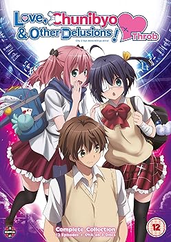 【中古】中二病でも恋がしたい! 戀 第2期 コンプリート DVD-BOX 全13話, 300分 中二病 虎虎 アニメ DVD Import パソコンもしくはPAL対応のプレイヤーにて