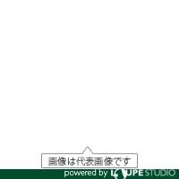 【中古】日東工器 デルボ 最低限度詳しい小ねじ用電動１番ウッド DLV7410HA-SPC