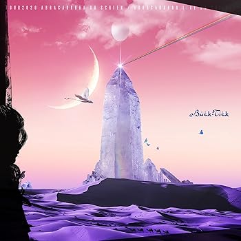 【中古】【39shop】TOUR2020★ABRACADABRA ON SCREEN ABRACADABRA LIVE ON THE NET完全生産限定盤:DVD(非常に良い)|ドリエム店