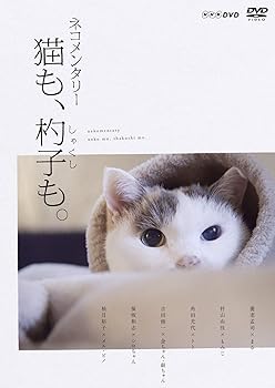 【中古】【39shop】ネコメンタリー★猫も、杓子も。 DVD（非常に良い）｜ドリエム店