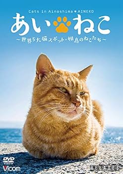 【中古】【39shop】あいねこ★世界5大猫スポット・相島のねこたち DVD（非常に良い）｜ドリエム店