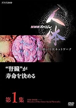 【中古】NHKスペシャル 人体 神秘の巨大ネットワーク 第1集 腎臓が寿命を決める DVD