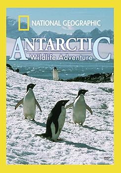 【中古】【39shop】National★Geographic: Antarctic Wildlife Adventure DVD（良い）｜ドリエム店