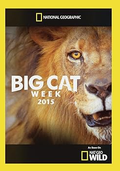 【中古】【39shop】Big★Cat Week 2015 DVD Import（良い）｜ドリエム店 9,388円
