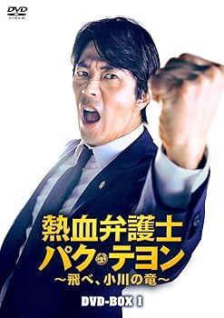 【中古】【39shop】熱血弁護士★パク・テヨン 飛べ、小川の竜 DVD-BOX1（良い）｜ドリエム店