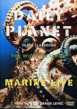 【中古】【39shop】Marine★Life DVD（非常に良い）｜ドリエム店