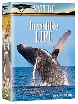 【中古】【39shop】Nature:★Incredible Life DVD(良い)|ドリエム店