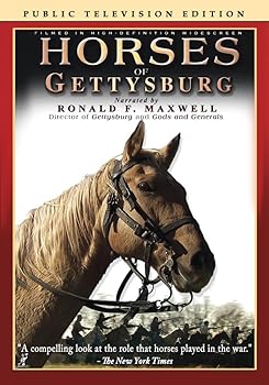 【中古】Horses of Gettysburg DVD