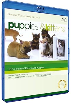 【中古】Puppies & Kittens Blu-ray Import