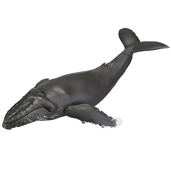 【中古】【39shop】ソフビトイボックス013★クジラ ザトウクジラ ノンスケール ソフトビニール製 塗装済み 可動フィギュア（良い）｜ドリエム店