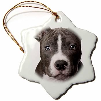 【中古】3drose American Pit Bull Terrier 子犬 雪の結晶 磁器オーナメント 3インチ