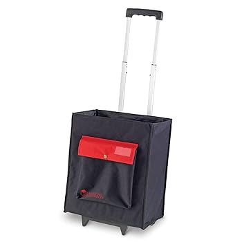 【中古】【39shop】A+★Carry-All Tote（非常に良い）｜ドリエム店