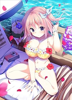 【中古】甘えかたは彼女なりに。 初回限定版 B2タペストリー \u0026封入PlayStation4オリジナルテーマプロダクトコード