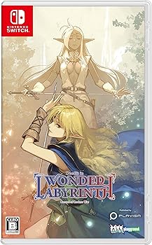 【中古】ロードス島戦記-ディードリット・イン・ワンダーラビリンス- - Switch画像